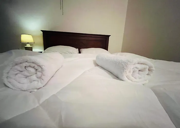 Dream Forest Rest