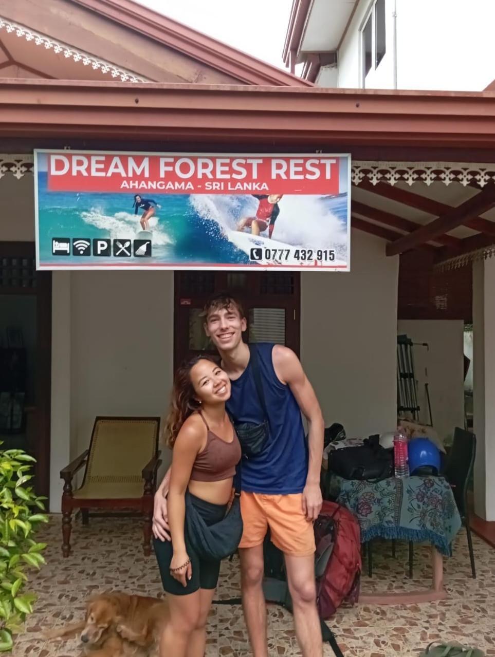 Dream Forest Rest